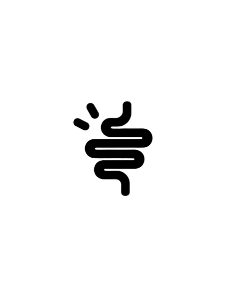 Supports Digestion