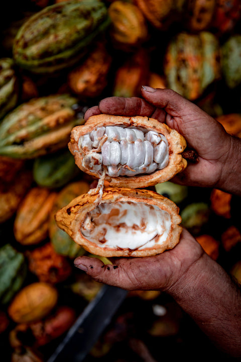 Thoughtfully sourced & preserving cacao heritage